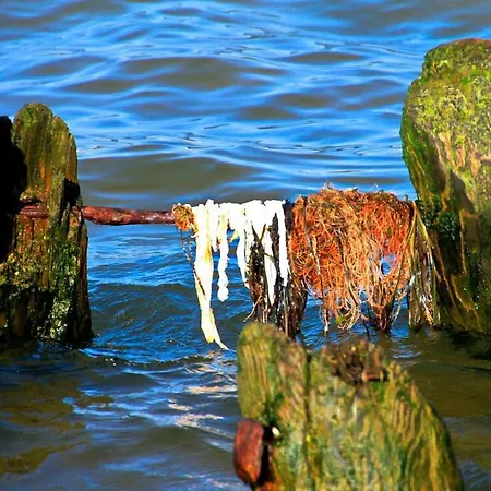 Casa de Férias Heaven Comfortable